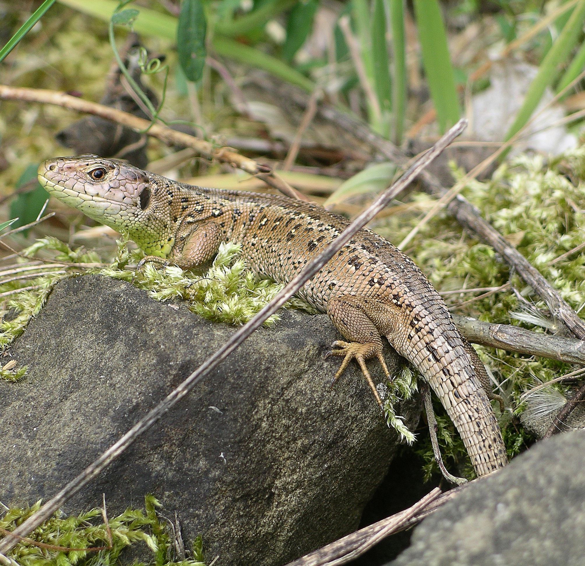 Natur & Erholung