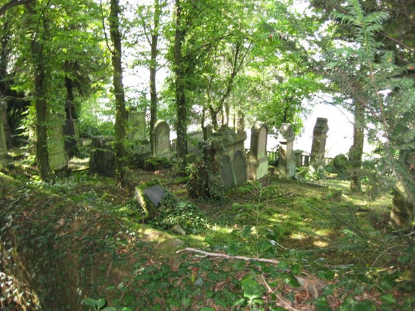Der alte Teil des jüdischen Friedhofs in Bingen.