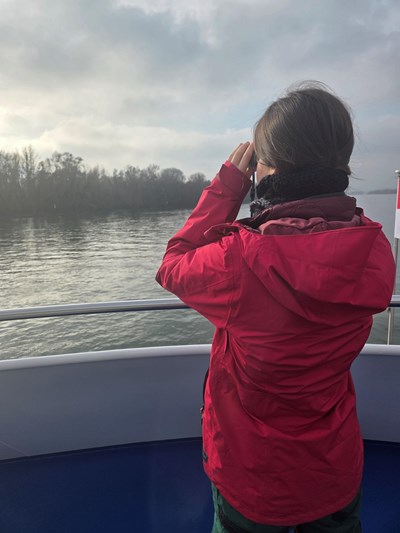 Schiffsexkursion entlang des Europareservates Rheinauen