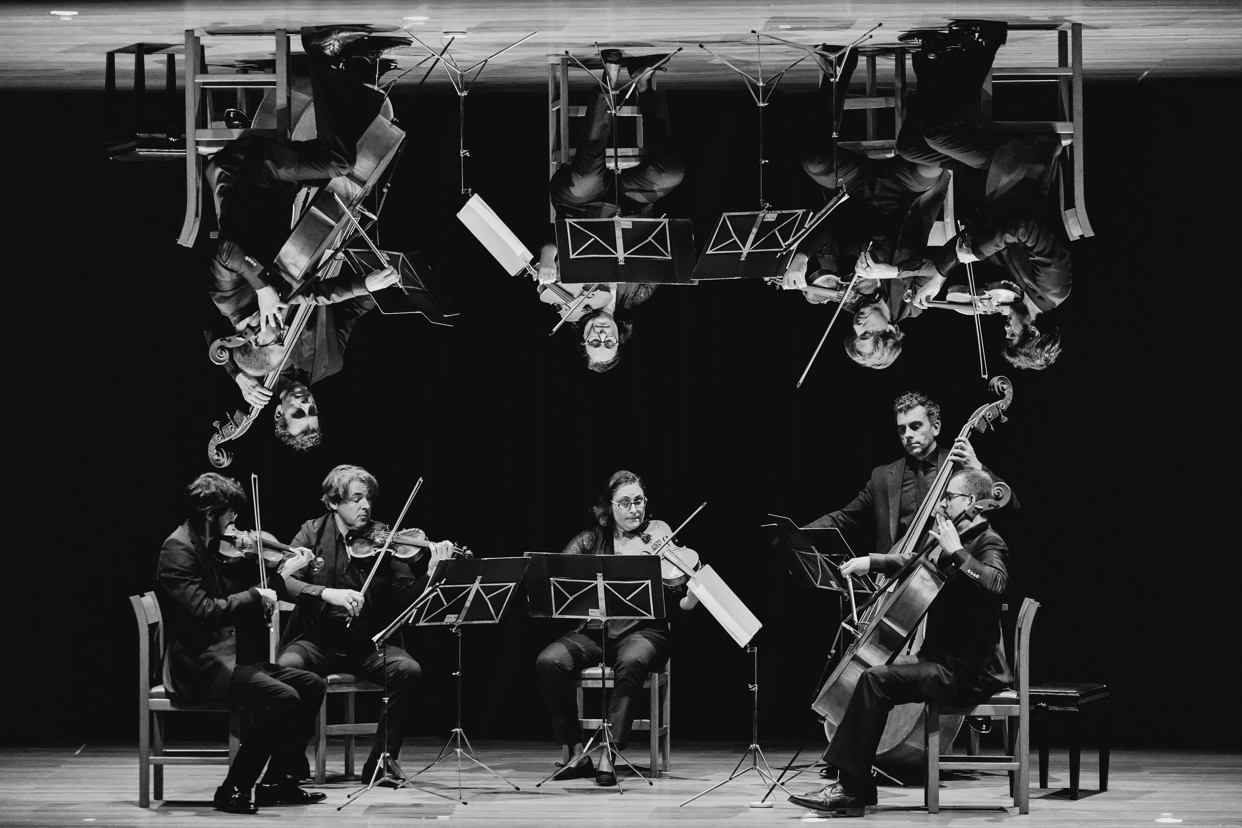 Die Wiener Kammersymphonie