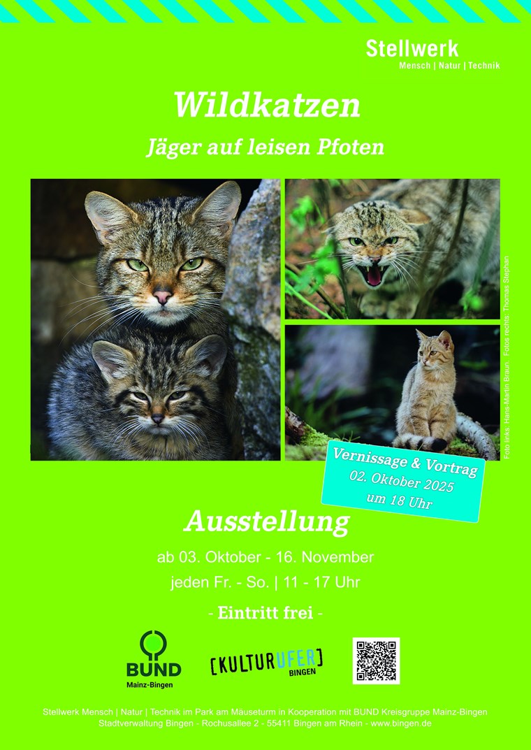 Die Ausstellung läuft vom 3. Oktober bis zum 16. November im Stellwerk.