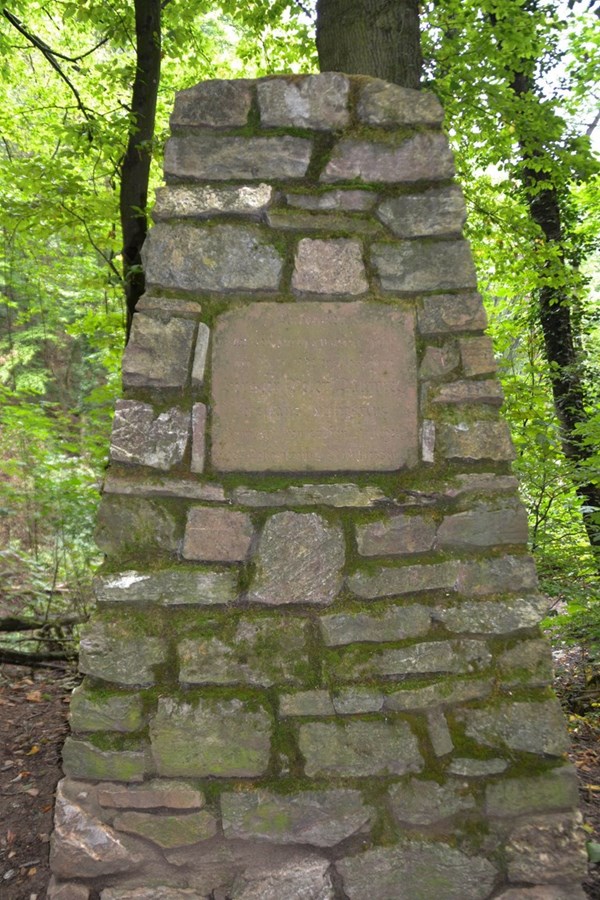 Der Dammelstein.