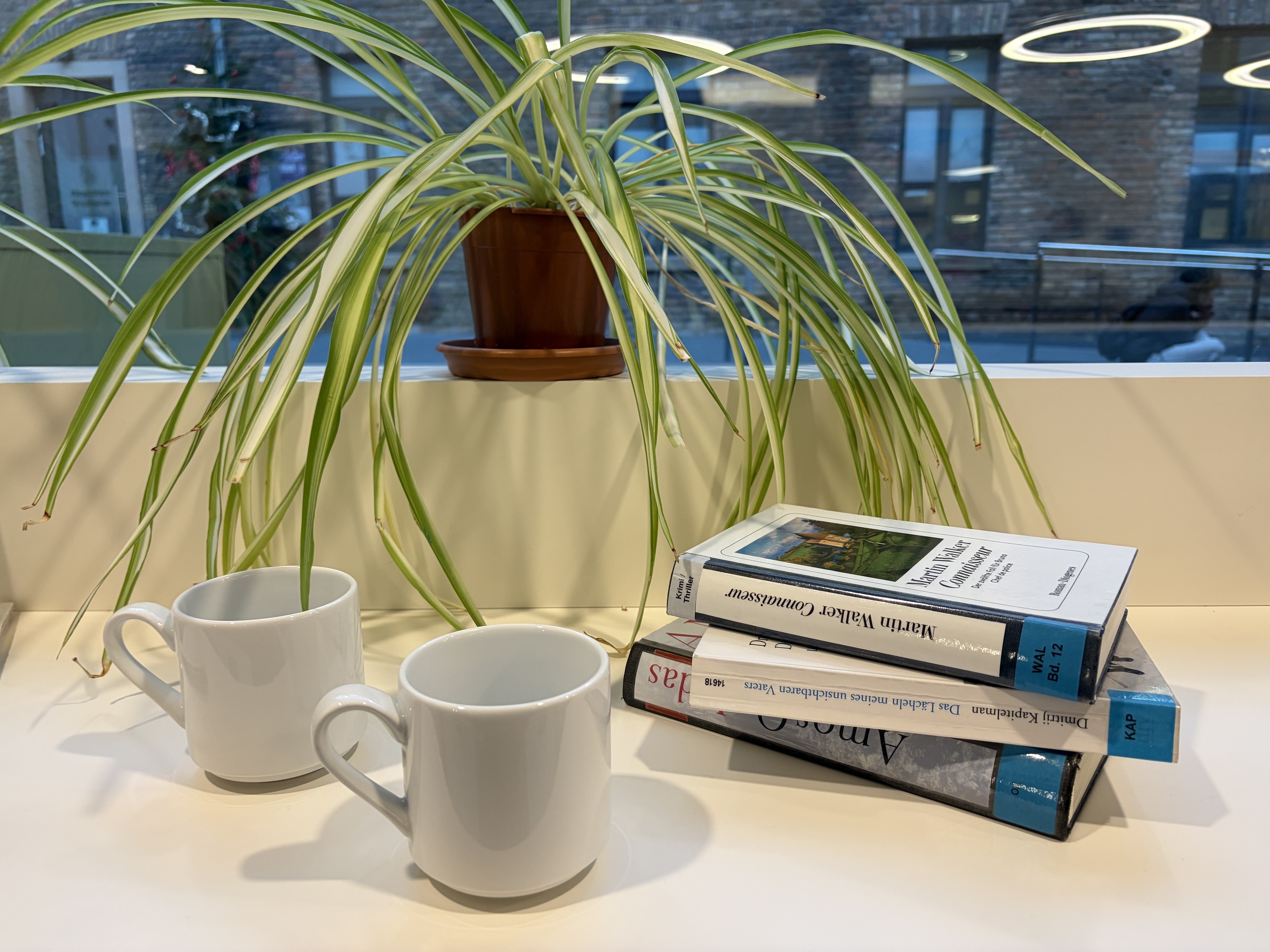 Am 22. Juni findet wieder ein Sprechcafé aktiv statt.