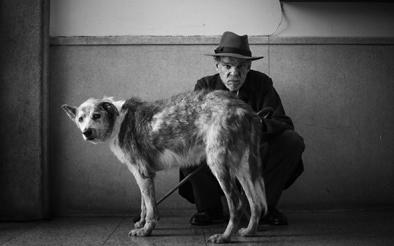 KiKuBi und vhs Bingen (Fachbereich Französisch) zeigen: Der Fremde (L'Etranger)