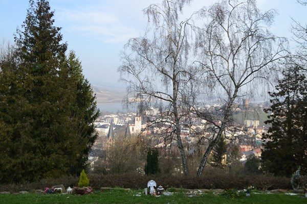 Der Bingerbrücker Friedhof bietet auch einen schönen Blick auf Bingen.