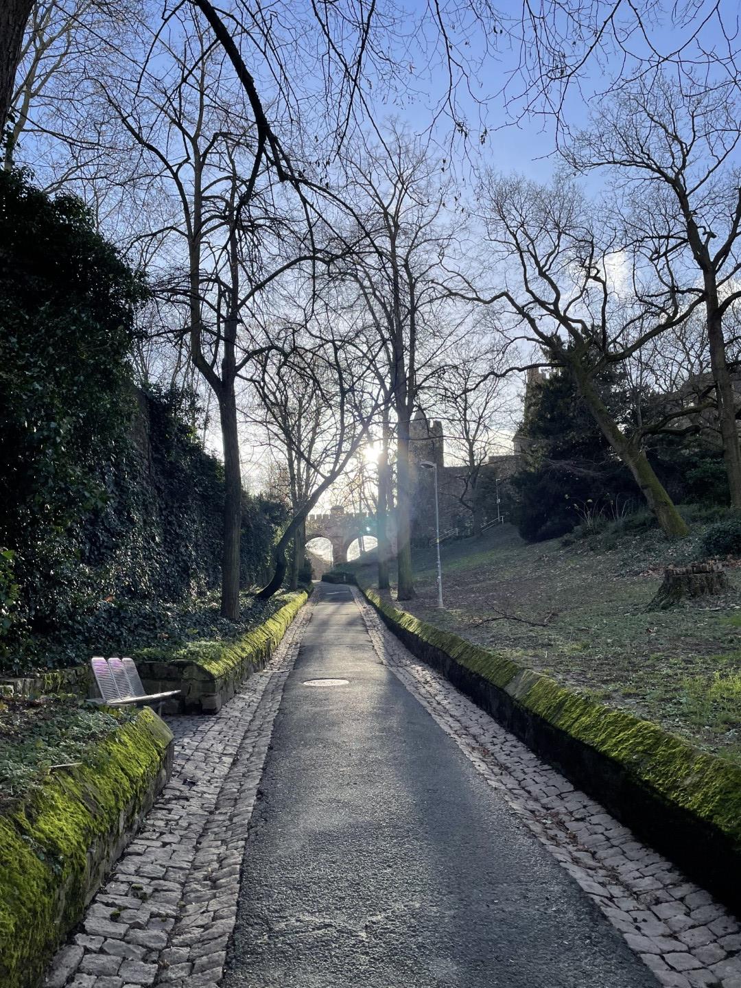 Der Binger Burggraben