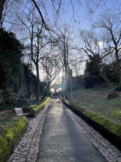 Der Binger Burggraben