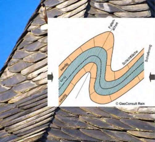 Vor 340 Millionen Jahren