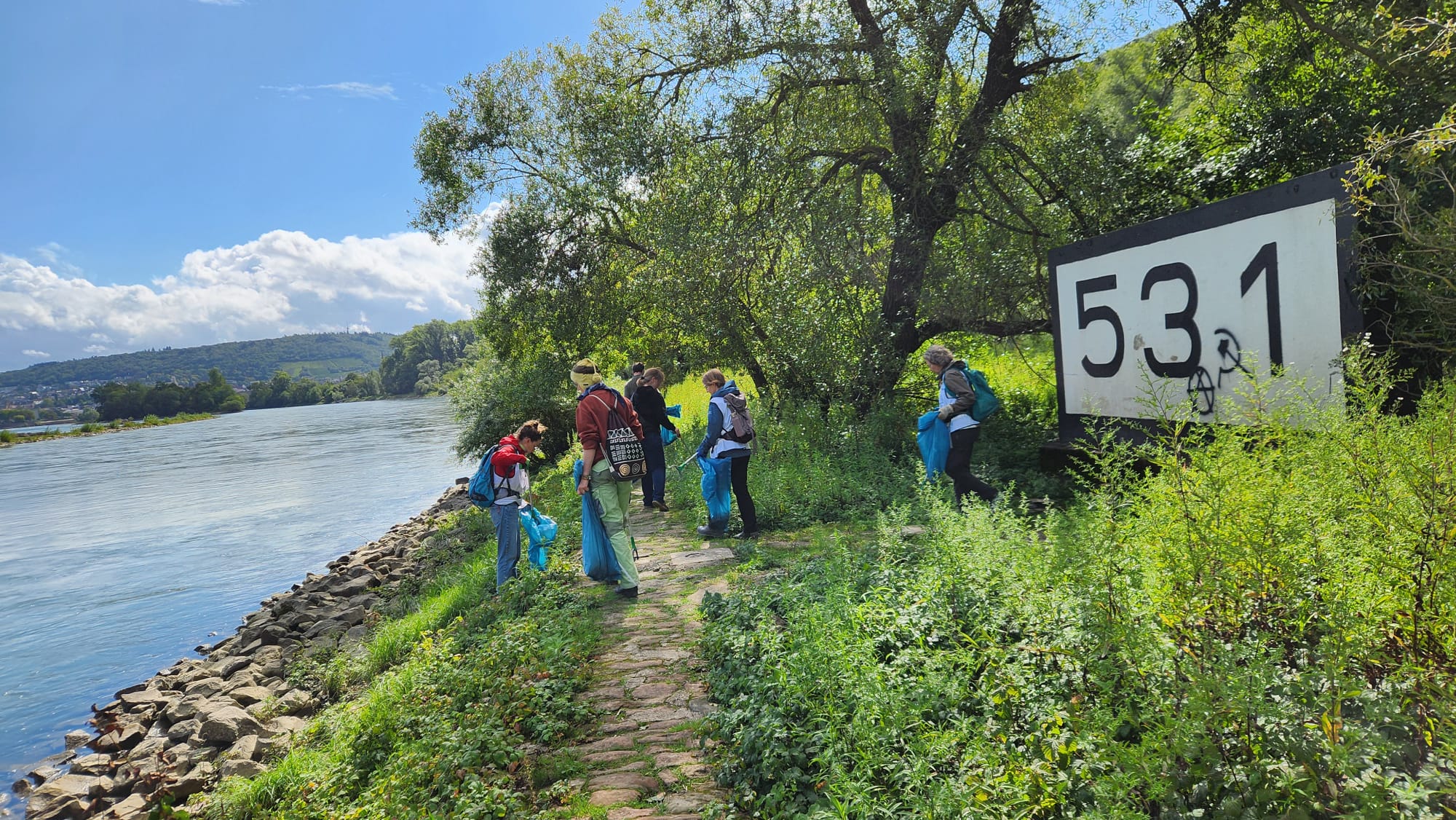 RhineCleanUp in den Binger Rheinkribben 2025