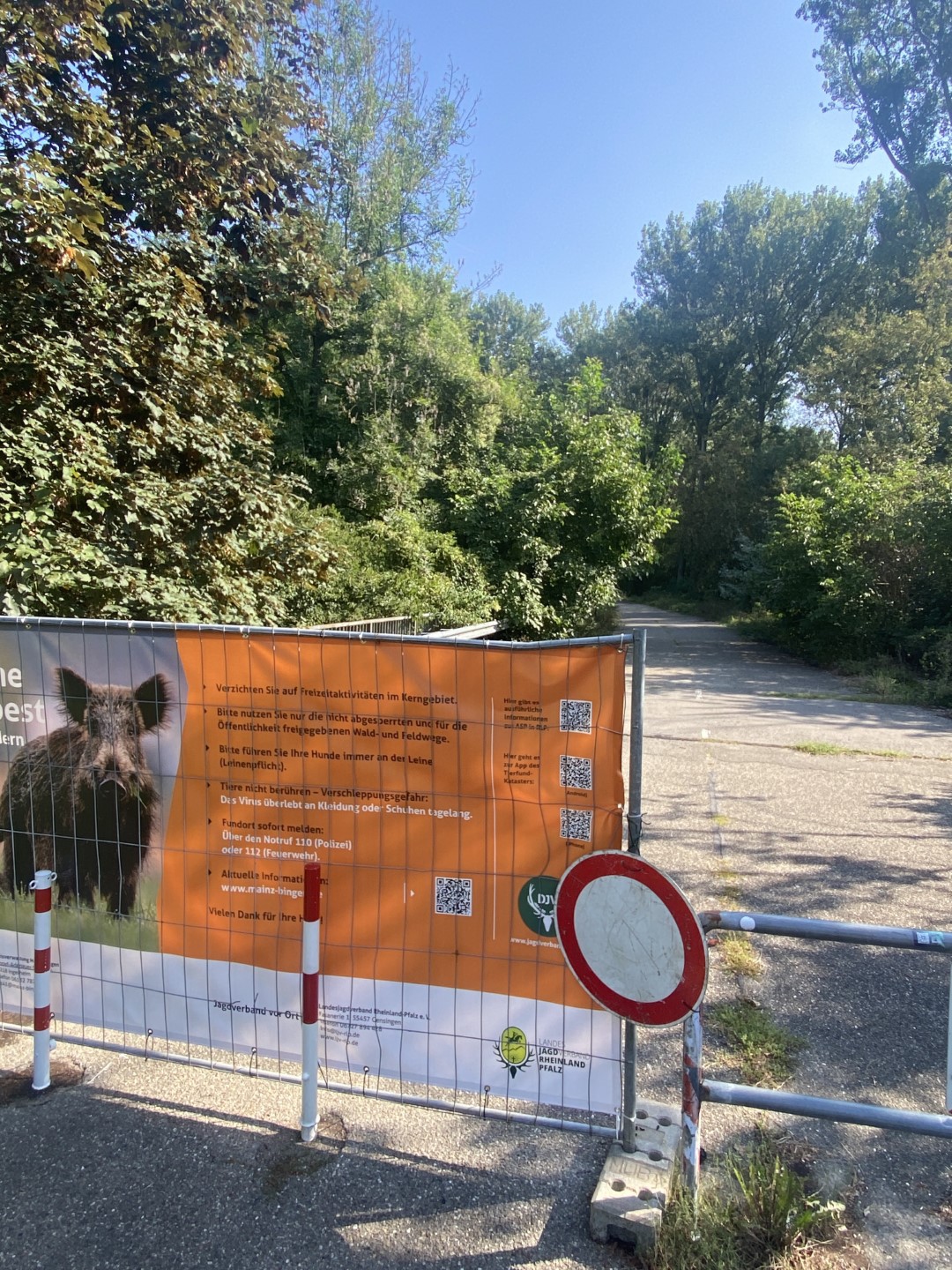 Maßnahmen gegen die Afrikanische Schweinepest.