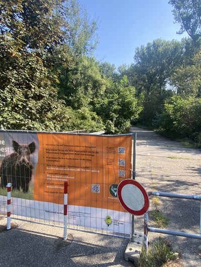 Maßnahmen gegen die Afrikanische Schweinepest.