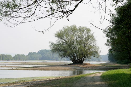 Rheinauen Gaulsheim