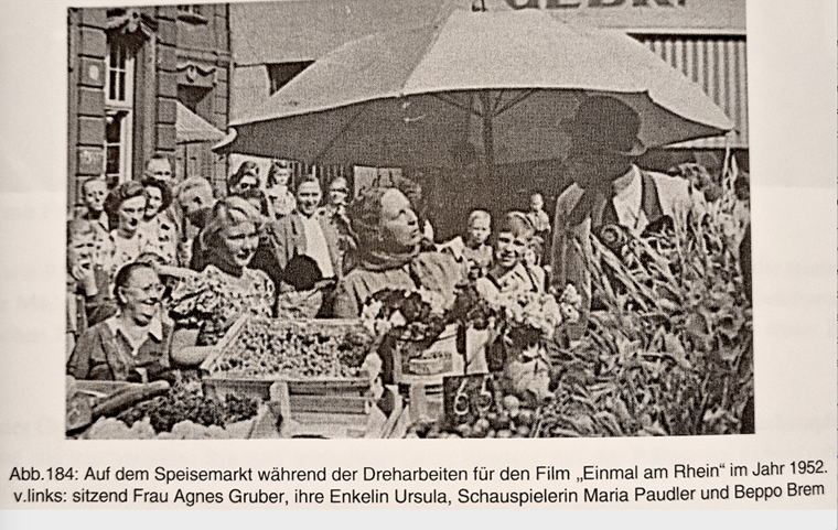 Stadtarchiv Bingen/Publikation „Bingen am Rhein“ von Heinz Bucher und Werner Wangard, 1991