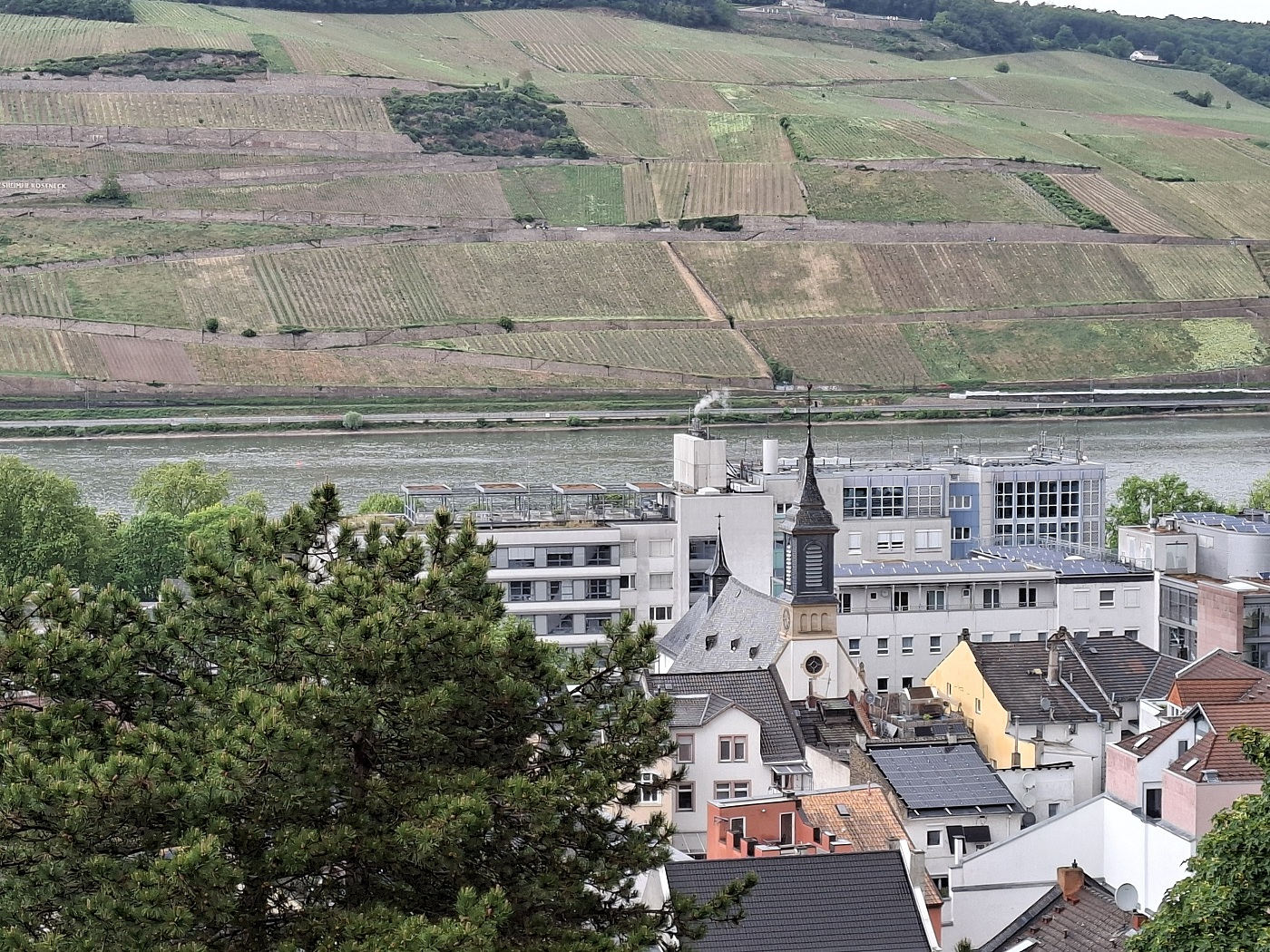 Im Hintergrund das Binger Heilig-Geist-Hospital.