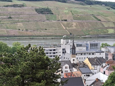 Im Hintergrund das Binger Heilig-Geist-Hospital.
