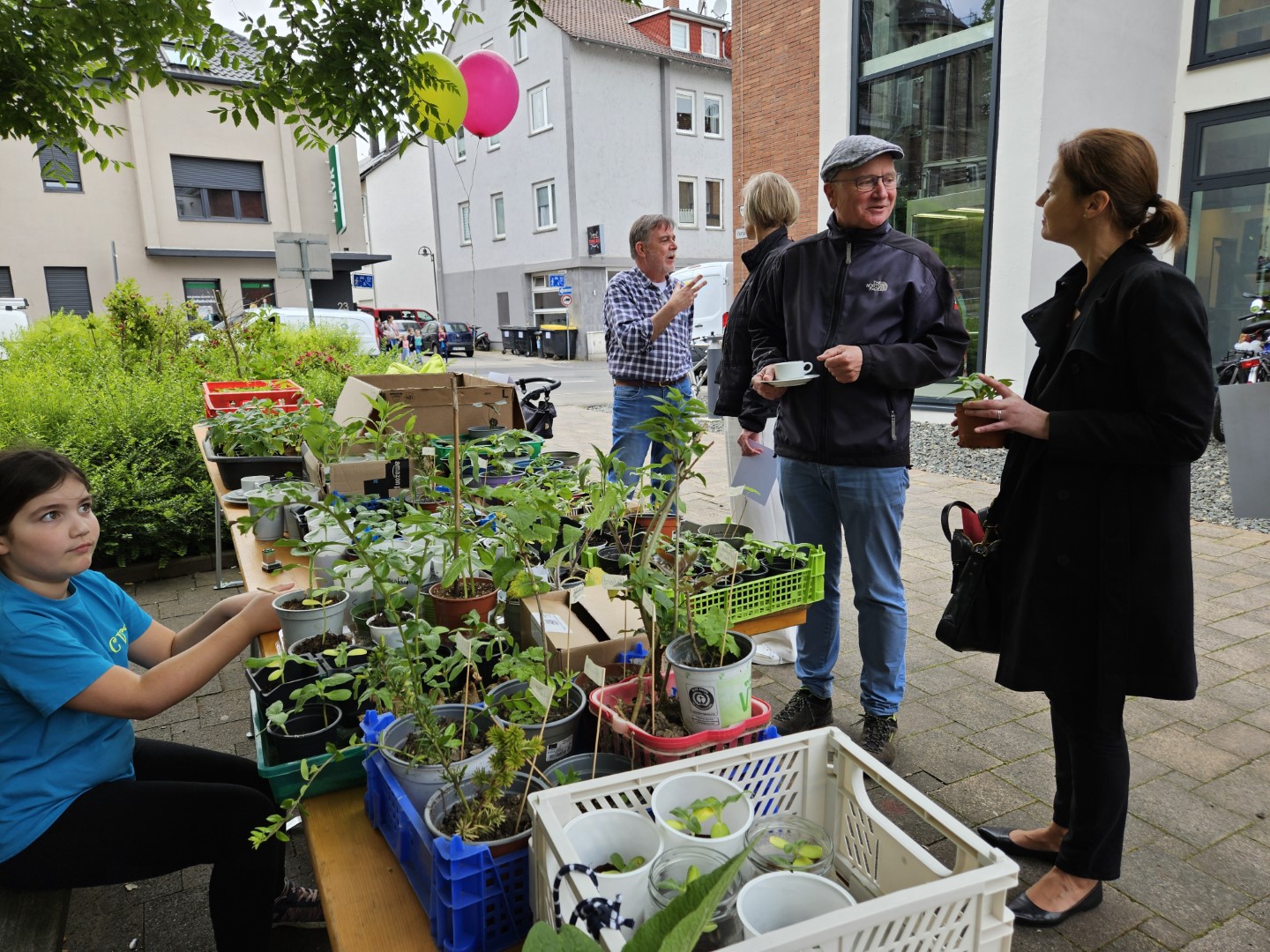   Quelle: Stadt Bingen
