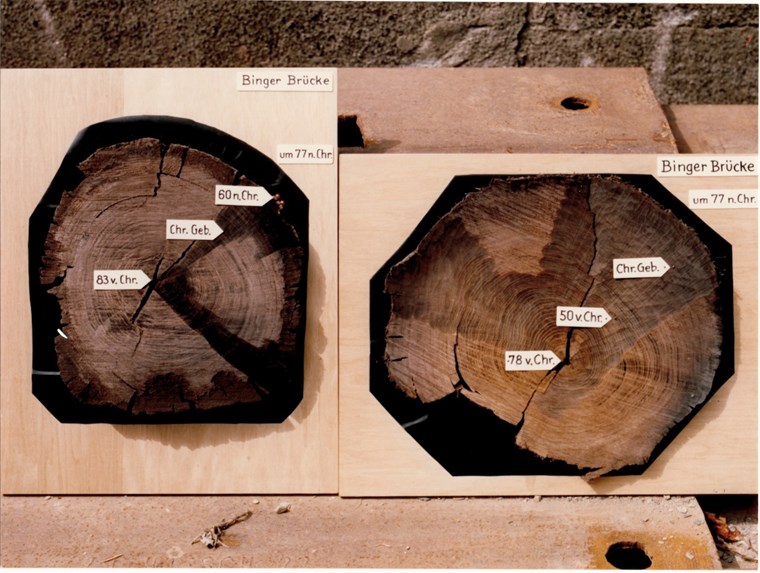 Mittels Dendrologie lässt sich das Alter der hölzernen Brückenpfeiler bestimmen. Die römische Binger Brücke führte auf Höhe der heutigen Basilika über die Nahe.