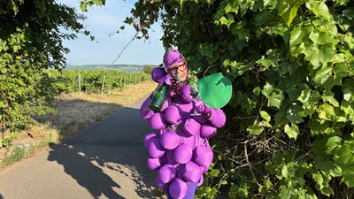 Familienführung mit dem Binger Träubchen im Rahmen des Binger Winzerfests 2026
