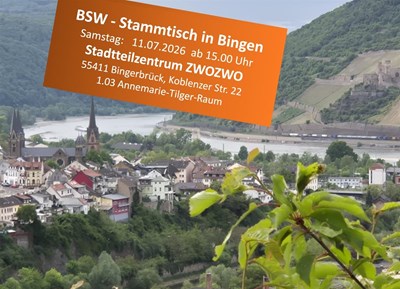 BSW-Bürgerdialog