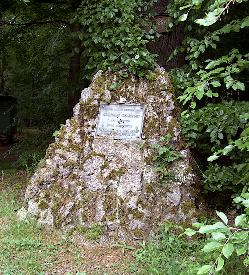 Bodmannstein