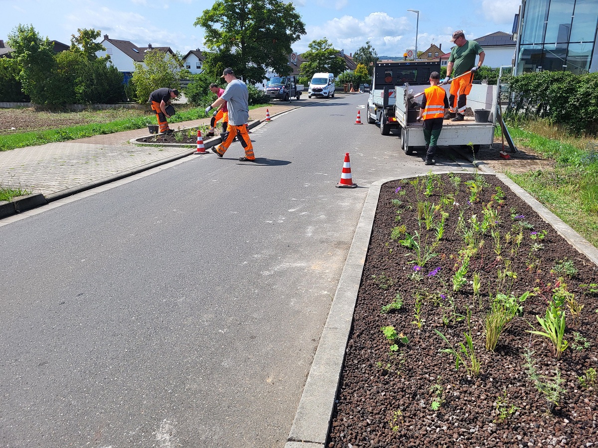 Praktisches Arbeiten für die Auszubildenden im Bereich Garten- und Landschaftsbau.