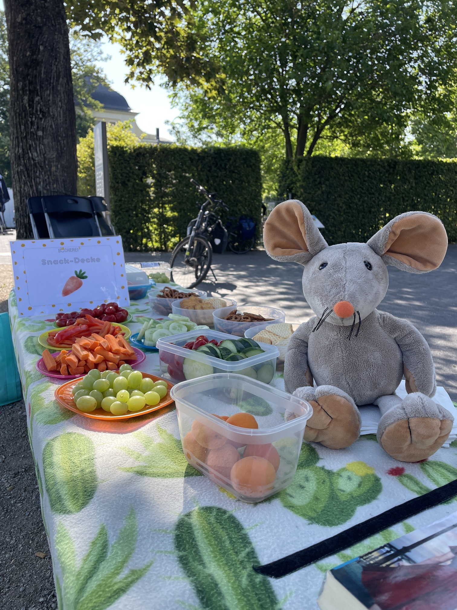 Am 9. Juli findet das Vorlesepicknick vor dem Museum am Strom statt.