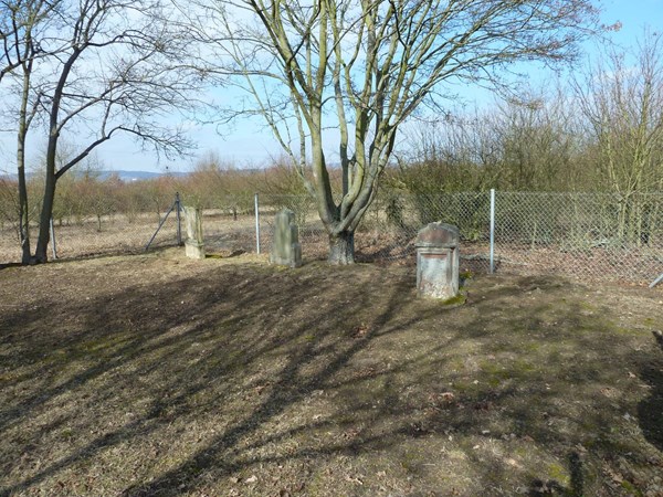 Der jüdische Friedhof in Gaulsheim