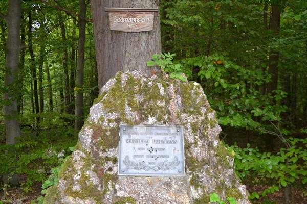 Der Bodmannstein.