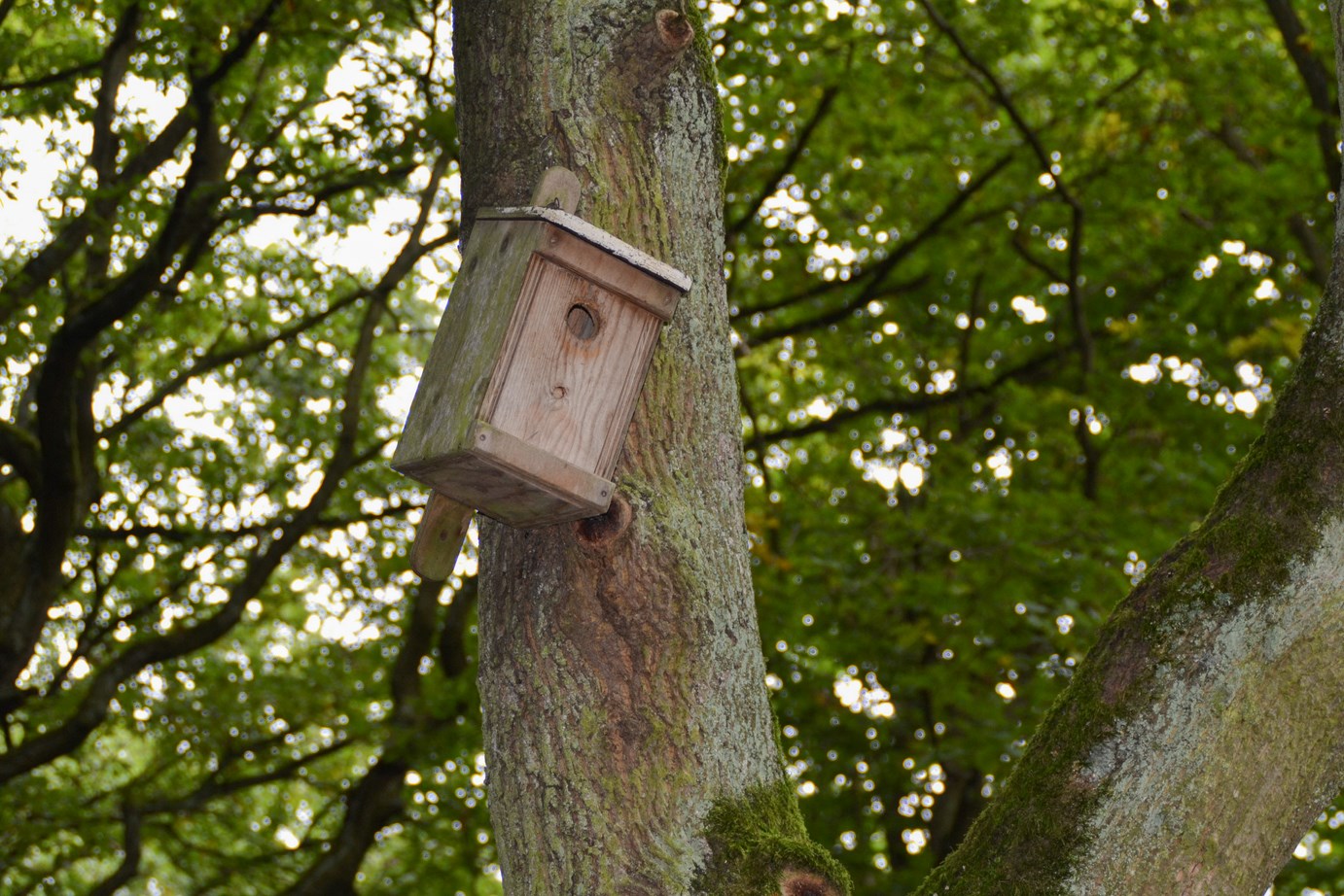 Tierwelt