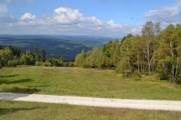 Die Rodelbahn im Spätsommer.