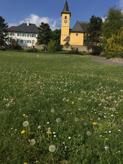 Kirchenwiese Bingen-Kempten