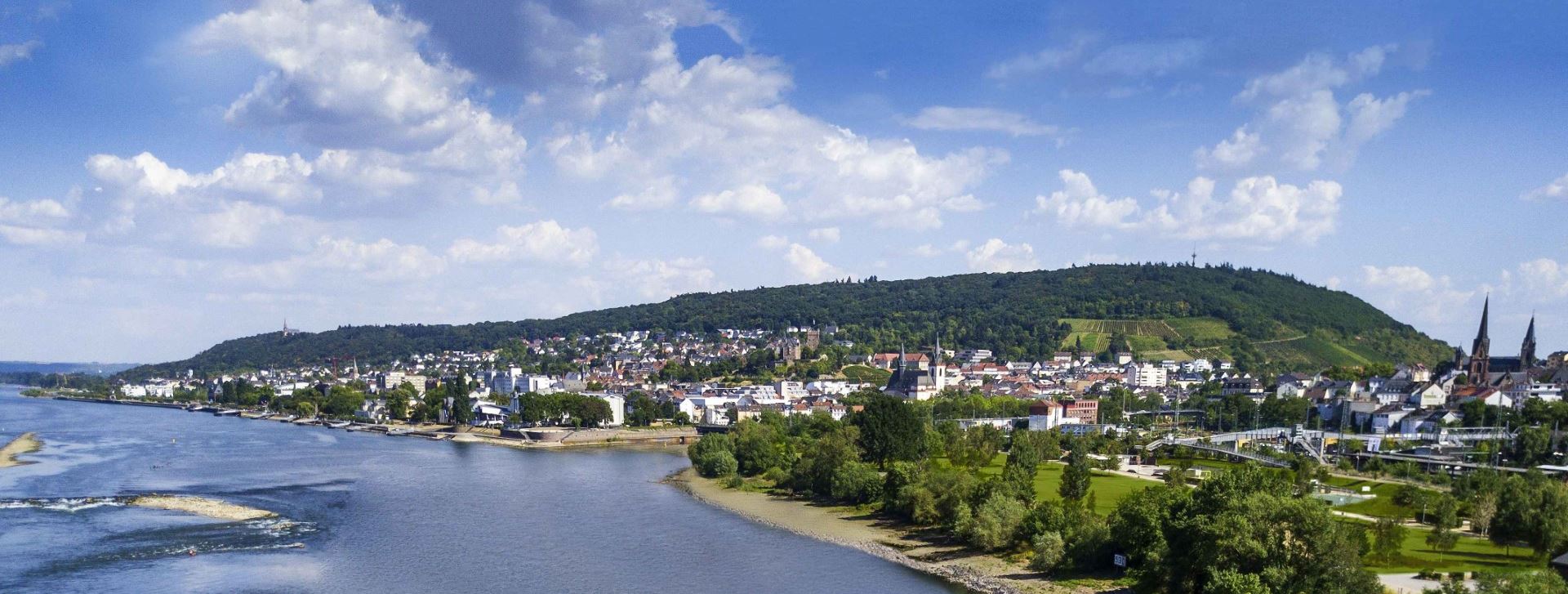 Waldlehrpfad Rochusberg