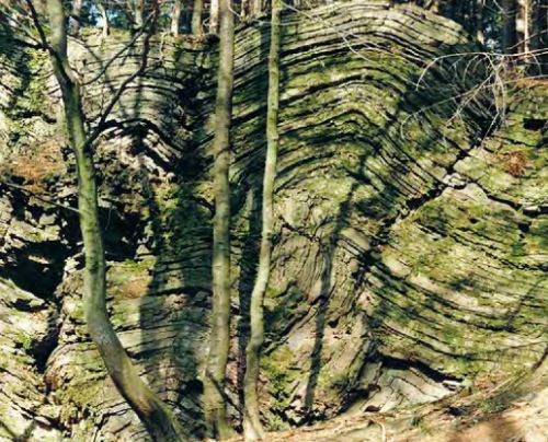 Vor 340 Millionen Jahren