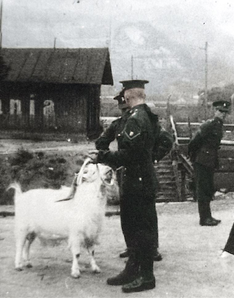 Britische Soldaten mit ihrem Ziegenbock-Maskottchen.