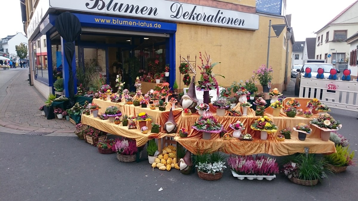 Der Blumenladen Latus