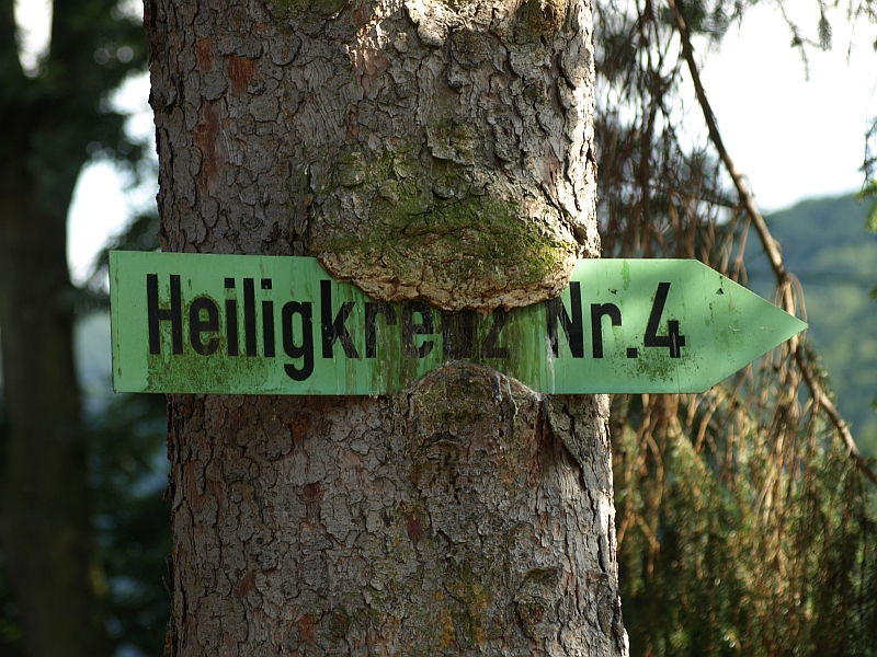 Hungrige Bäume scheint es im Binger Wald einige zu geben: dieser Baum "frisst" einen Wegweiser zum Heiligkreuz Nr.4. Da das Bild bereits 2008 aufgenommen wurde, fragen wir uns, was wohl ein aktuelles Foto zeigen würde?!  |  Quelle: Burkhard Hinnersmann