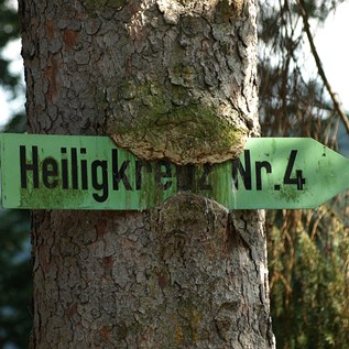Hungrige Bäume scheint es im Binger Wald einige zu geben: dieser Baum "frisst" einen Wegweiser zum Heiligkreuz Nr.4. Da das Bild bereits 2008 aufgenommen wurde, fragen wir uns, was wohl ein aktuelles Foto zeigen würde?!  |  Quelle: Burkhard Hinnersmann
