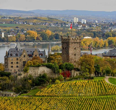 Burg Klopp mit Blick auf die rechte Rheinseite  - Quelle Stadt Bingen, Foto Torsten Silz