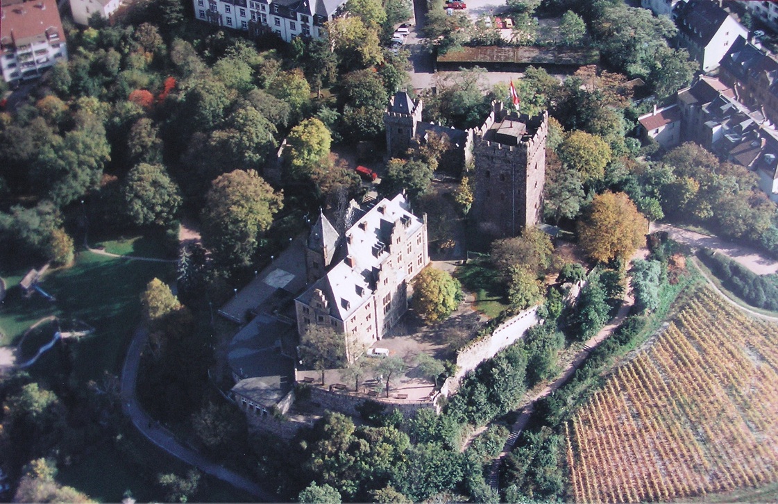 Luftaufnahme Burg Klopp.
