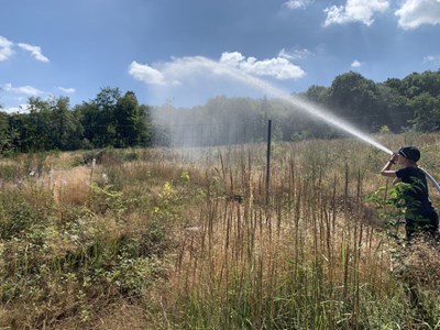 Fleißiger Helfer beim Bewässern im Binger Wald