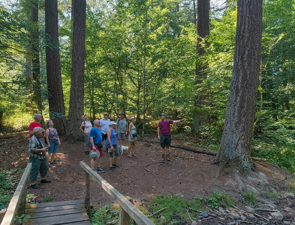 Beim Waldgang.