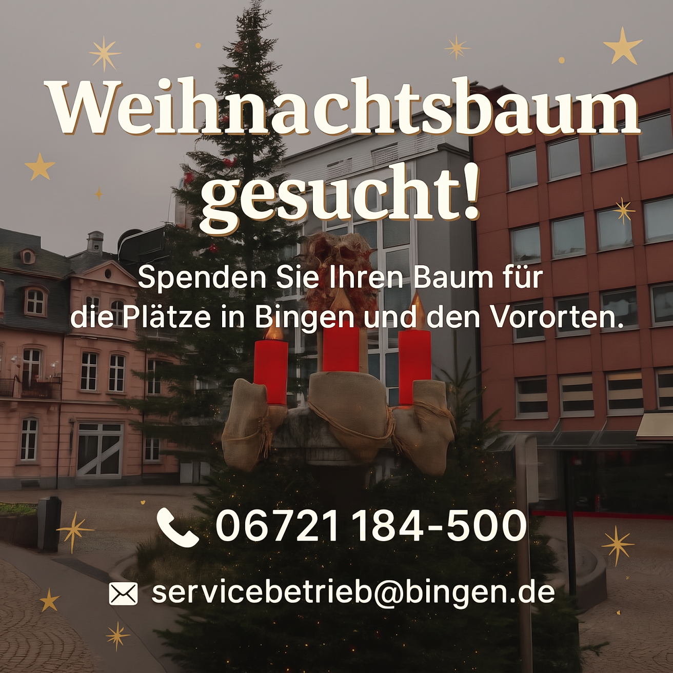 Weihnachtsbäume für die Binger Plätze gesucht.