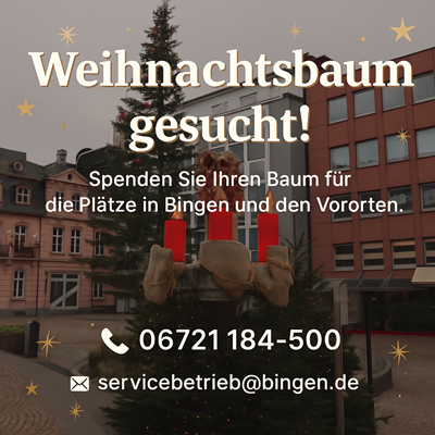 Weihnachtsbäume für die Binger Plätze gesucht.