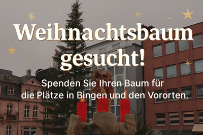 Weihnachtsbäume für die Binger Plätze gesucht. Weihnachtsbäume für die Binger Plätze gesucht.