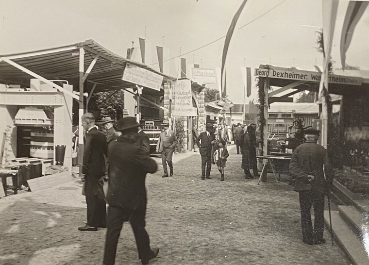 Einblick in den Weinbaukongress 1931