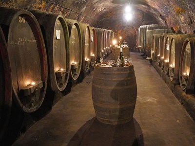 Binger Kellerführungen - Eine Zeitreise durch die Jahrhunderte mit Wein und Häppchen