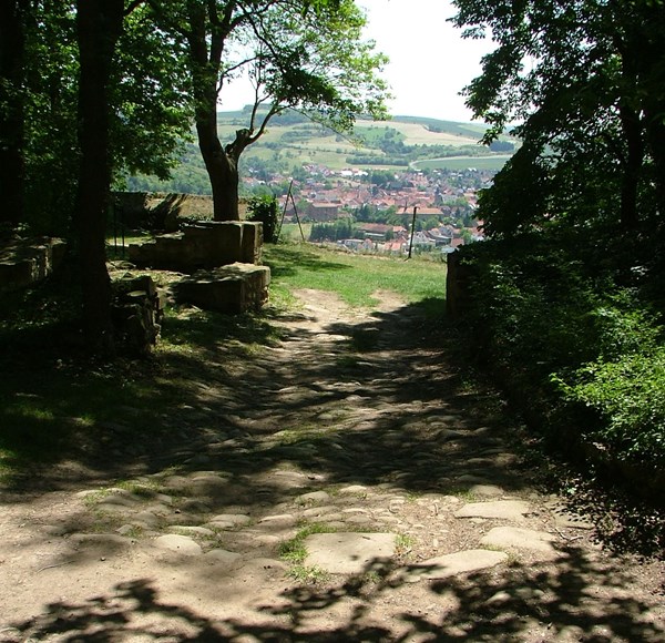 Der Hildegard von Bingen Pilgerwanderweg