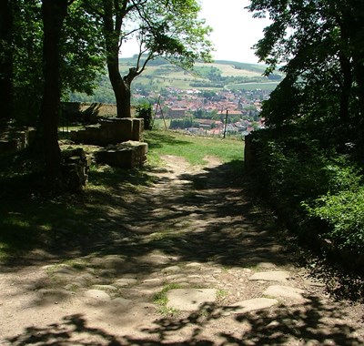 The Hildegard von Bingen Pilgriamage Trail