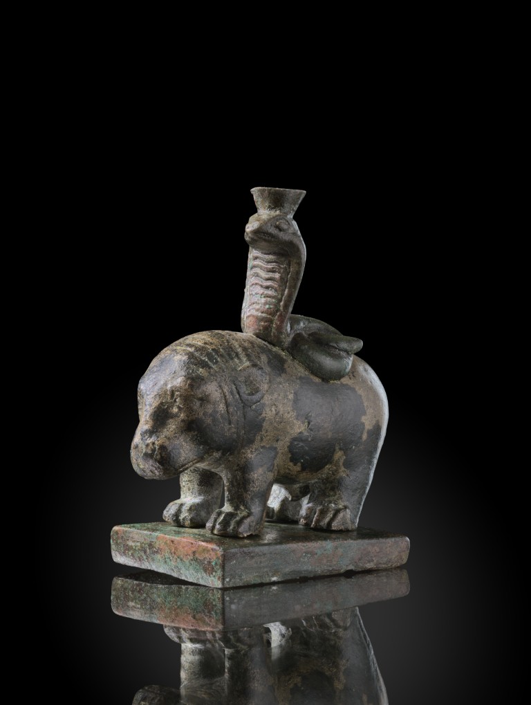 Hippopotamus with cobra  |  Photo: Marcel Schawe