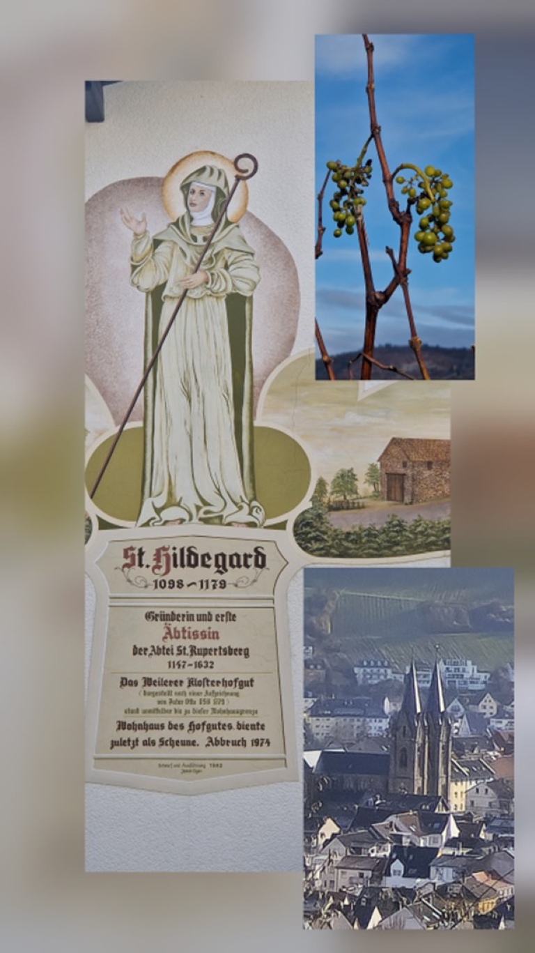 Weinwanderung auf den Spuren des Klosters Rupertsberg